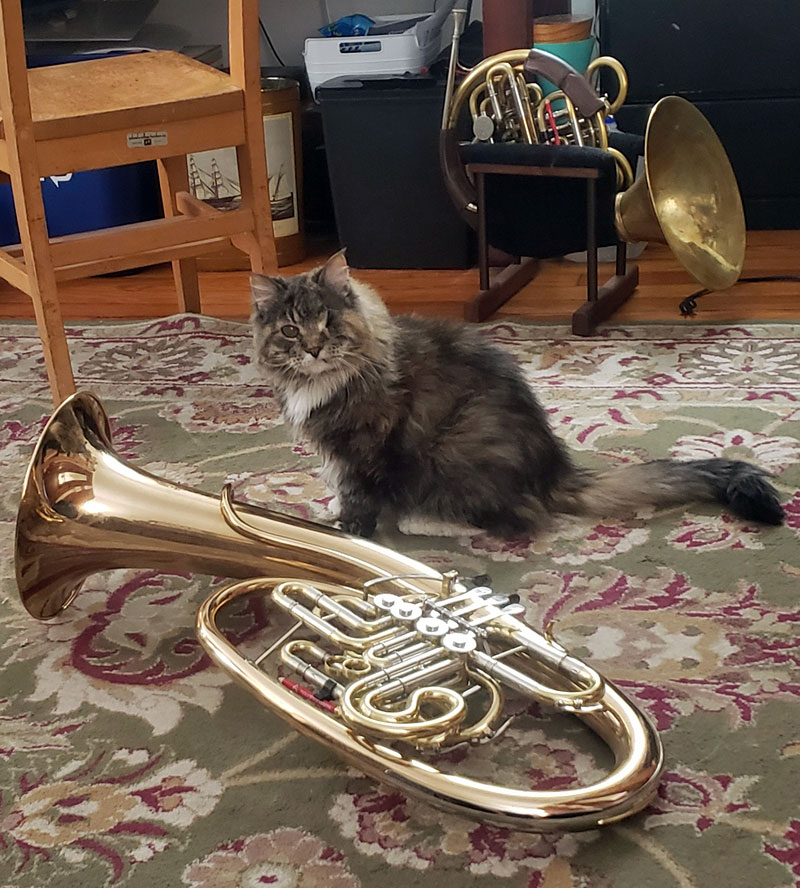 Princess with Wagner tuba and horn